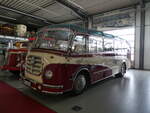 (261'413) - Wildi, Luzern (Auw�rter) - DGF-AU 56H - Mercedes/Auw�rter am 14.