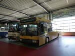 (250'951) - Auw�rter, Pilsting - Neoplan (ex BVG Berlin Nr.