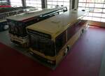 (250'958) - Auw�rter, Pilsting - Neoplan (ex BVG Berlin Nr.