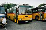 (049'119) - Toldo, Z�rich - ZH 484'215 - Saurer/R&J (ex Peter, Pfaffnau) am 18.