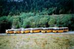 (111'109) - Zimmermann, Niederwangen - BE 985 U - Saurer/T�scher (ex P 24'289) am 27.