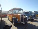 (139'504) - Altherr, Nesslau - SG 900 U - Saurer/T�scher (ex Buchli, Versam) am 16.