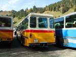 (142'031) - Schumacher, Liebefeld - BE 136'580 - Saurer/T�scher (ex Zimmermann, Niederwangen; ex P 24'289) am 21.