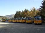 (142'038) - Schmid, Th�rishaus - BE 26'206 - Saurer/T�scher (ex P 24'244) am 21.