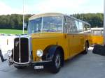 (154'592) - Fasel, Widen - AG 386'195 - Saurer/Lauber (ex Freudiger, Eiken; ex in M�hlin; ex Stalder, Dornach; ex Th�cla, St-Ursanne; ex Stucki, Porrentruy Nr.
