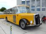(154'617) - Fasel, Widen - AG 386'195 - Saurer/Lauber (ex Freudiger, Eiken; ex in M�hlin; ex Stalder, Dornach; ex Th�cla, St-Ursanne; ex Stucki, Porrentruy Nr.