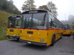 (155'613) - W�thrich, Ursenbach - Nr.