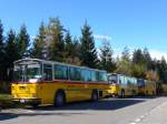 (155'634) - Inkamp, Altendorf - SZ 200'081 - Saurer/T�scher (ex Koch, Giswil; ex Selfors, Meiringen; ex P 24'236) am 12.