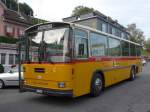 (155'682) - W�thrich, Ursenbach - Nr.
