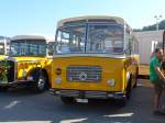 (163'895) - Streiff, Gelterkinden - AG 306'557 - Saurer/Gangloff (ex Oldie-Tours Z�risee, Wollerau; ex OTAG, Wald; ex Leibundgut, Obergoldbach; ex Krebs, Belpberg) am 29.