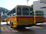 (164'145) - Amstein, Willisau - LU 10'290 - Saurer/T�scher (ex Allemann, Niederbipp; ex Semadeni, Poschiavo; ex Kasper, Poschiavo; ex PostAuto Graub�nden; ex P 24'285) am 29.