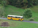 (175'351) - W�thrich, Ursenbach - Nr.