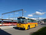 (175'406) - Kolb, Grasswil - Nr.