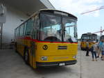 (184'359) - Dornbierer, Thal - SG 35'335 - Saurer/T�scher (ex FRAM Drachten/NL Nr.