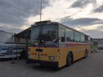 (195'896) - Toldo, Z�rich - ZH 124'701 - Saurer/R&J (ex Peter, Pfaffnau) am 17.
