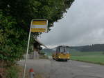 (196'388) - Eichenberger, B�singen - FR 335'303 - Saurer/R&J (ex Schlapp, Cottens; ex Ruklic, Schaffhausen; ex Heim, Flums; ex Frigg, Zernez; ex P 24'279) am 2.