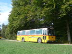 (198'009) - Gautschi, Suhr - AG 6835 - Saurer/T�scher (ex L�tscher, Neuheim Nr.