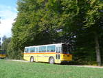 (198'010) - Marugg, Gelterkinden - BL 206'056 - Saurer/Hess (ex D�rfelt, D-Gahlenz; ex P 24'254) am 30.