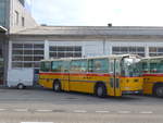 (198'026) - Schmid, Th�rishaus - BE 26'206 - Saurer/T�scher (ex P 24'244) am 30.