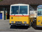 (198'249) - Oldie-Tours Z�risee, Wollerau - Saurer/Hess (ex Wohlgemuth, Hochwald) am 13.