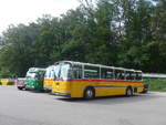 (209'263) - W�thrich, Ursenbach - Nr.