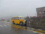 (219'895) - Blaser, Unterseen - BE 105'053 - Saurer/T�scher (ex Gessinger, Bad Ragaz) am 22.