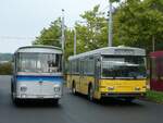 (228'384) - Borer, Neuhausen - SH 1''684 - Saurer/T�scher (ex Sch�ttler, D-K�ln; ex Braun, D-M�nster; ex Schmid, Hemishofen; ex Br�tsch, B�ttenhard; ex ASS Schleitheim Nr.