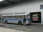 (228'439) - Borer, Neuhausen - SH 19'684 - Saurer/T�scher (ex Sch�ttler, D-K�ln; ex Braun, D-M�nster; ex Schmid, Hemishofen; ex Br�tsch, B�ttenhard; ex ASS Schleitheim Nr.