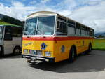 (239'150) - G�hwiler, Birmensdorf - ZH 311'480 - Saurer/T�scher (ex AVG Grindelwald Nr.