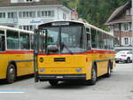 (239'762) - Schmid, Th�rishaus - BE 26'206 - Saurer/T�scher (ex P 24'244) am 28.