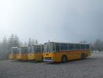 (239'778) - Roth, Z�rich - SH 36'376 - Saurer/T�scher (ex Looser, Elm; ex Mattli, Wassen) am 28.