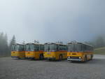 (239'779) - Roth, Z�rich - SH 36'376 - Saurer/T�scher (ex Looser, Elm; ex Mattli, Wassen) am 28.