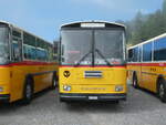 (239'791) - Ackermann, Landquart - GR 106'362 - Saurer/R&J (ex F�ssler, Untreriberg; ex Sch�rch, Gutenburg Nr.