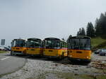(239'827) - Schmid, Th�rishaus - BE 26'206 - Saurer/T�scher (ex P 24'244) am 28.