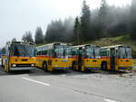 (239'829) - Roth, Z�rich - SH 36'376 - Saurer/T�scher (ex Looser, Elm; ex Mattli, Wassen) am 28.