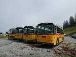 (239'832) - Schmid, Th�rishaus - BE 26'206 - Saurer/T�scher (ex P 24'244) am 28.
