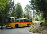 (239'839) - Schmid, Th�rishaus - BE 26'206 - Saurer/T�scher (ex P 24'244) am 28.