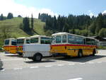 (239'860) - Schmid, Th�rishaus - BE 26'206 - Saurer/T�scher (ex P 24'244) am 28.