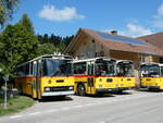 (239'868) - Roth, Z�rich - SH 36'376 - Saurer/T�scher (ex Looser, Elm; ex Mattli, Wassen) am 28.