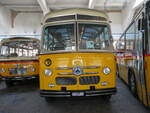 (247'374) - Oldtimer Club Saurer, Arbon - Saurer/Saurer (ex Ryffel, Z�rich; ex M+79'500; ex P 24'136; ex P 21'736) am 17.