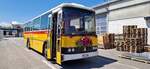 Soltermann Nostalgiefahrten - Bichwil - SG 118'488 - Saurer/R&J (ex Ziegler, Pratteln; ex Tanner, Bubendorf; ex Schnider, Sch�pfheim)