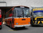 (261'895) - Mangold, Oberengstringen - AG 505'198 - Saurer/Hess (ex RhV Altst�tten Nr.