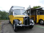 (265'836) - Langenegger A., W�denswil - ZH 20'206 - Saurer/Krapf (ex Tscharner, Thusis) am 17.