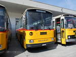 (266'347) - Schmid, Th�rishaus - BE 26'206 - Saurer/T�scher (ex P24'244) am 31.