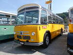 (266'370) - Party-Bus, Grosswangen - LU 107'711 - Saurer/Saurer (ex Widmer, Aarburg; ex Diethelm, Z�rich; ex 24'133; ex P 21'733) am 31.