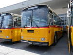 (266'438) - Schmid, Th�rishaus - BE 26'206 - Saurer/T�scher (ex P 24'244) am 31.