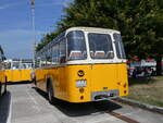 (266'481) - Streiff, Gelterkinden - AG 306'557 - Saurer/Gangloff (ex Oldie-Tours Z�risee, Wollerau; ex OTAG, Wald; ex Leibundgut, Obergoldbach; ex Krebs, Belpberg) am 31.
