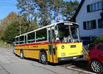 (268'435) - Schmid, Th�rishaus - BE 26'206 - Saurer/T�scher (ex P 24'244) am 25.