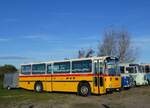 (268'439) - Aus der Schweiz: Schmid, Th�rishaus - BE 26'206 - Saurer/T�scher (ex P 24'244) am 25.
