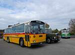 (268'726) - Aus der Schweiz: Schmid, Th�rishaus - BE 26'206 - Saurer/T�scher (ex P 24'244) am 27.